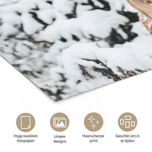 Hert - Sneeuw - Winter - Bos - Dieren poster papier klein -closeup_NL