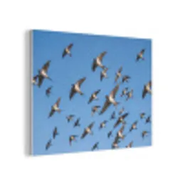 Zwaluwen - Vliegen - Blauw PET vilt klein -3d