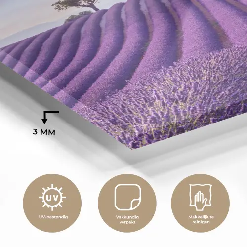 Lavendel - Natuur - Paars - Bomen - Bloemen plexiglas 5mm klein -sfeer2