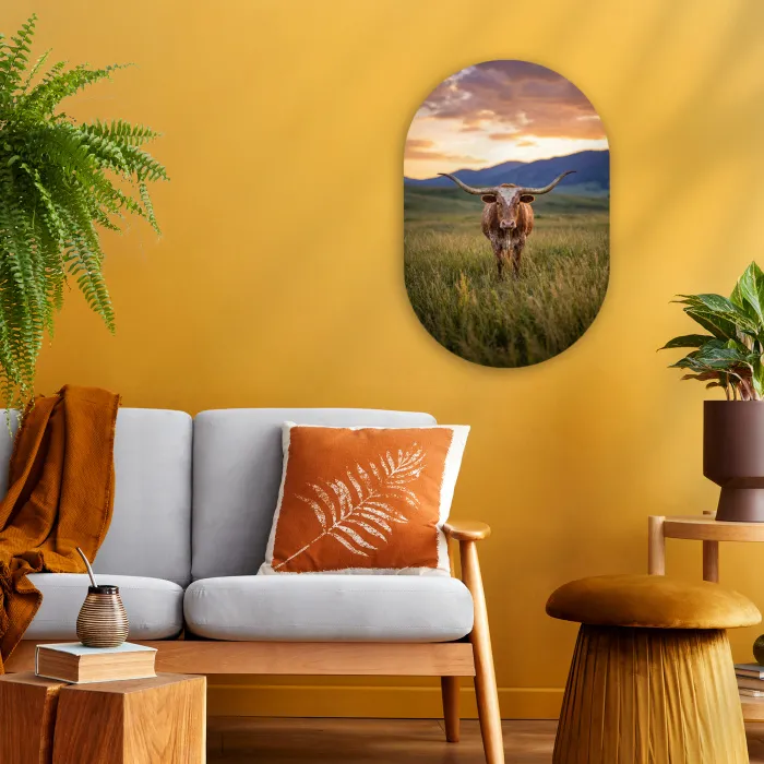 Longhorn - Landschap - Zonsondergang Wandcirkel Ovaal Forex klein -sfeer4