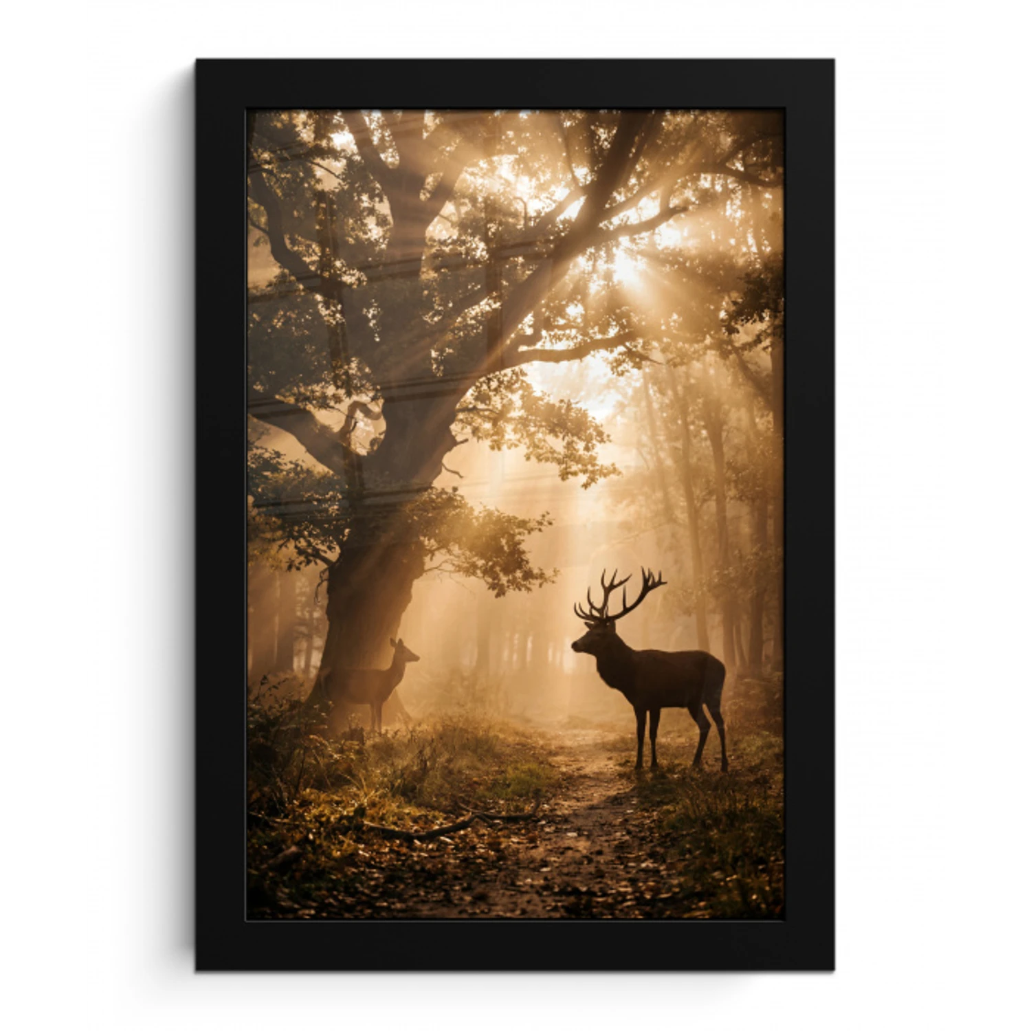Hert - Bos - Mistig - Natuur - Goud fotolijst zwart zonder passe partout klein -3d