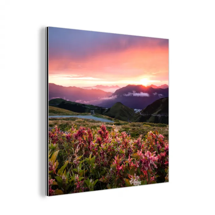 Bloemen - Bergen - Landschap - Nacht - Lucht - Roze aluminium wit klein -3d