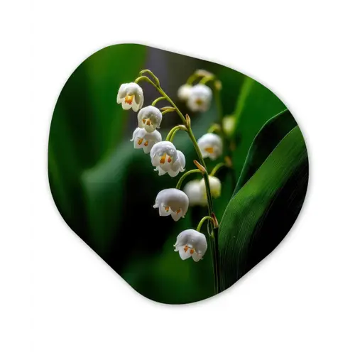Bloemen - Wit - Bladeren - Lelietjes Wandcirkel Organisch Forex 3mm klein -3d