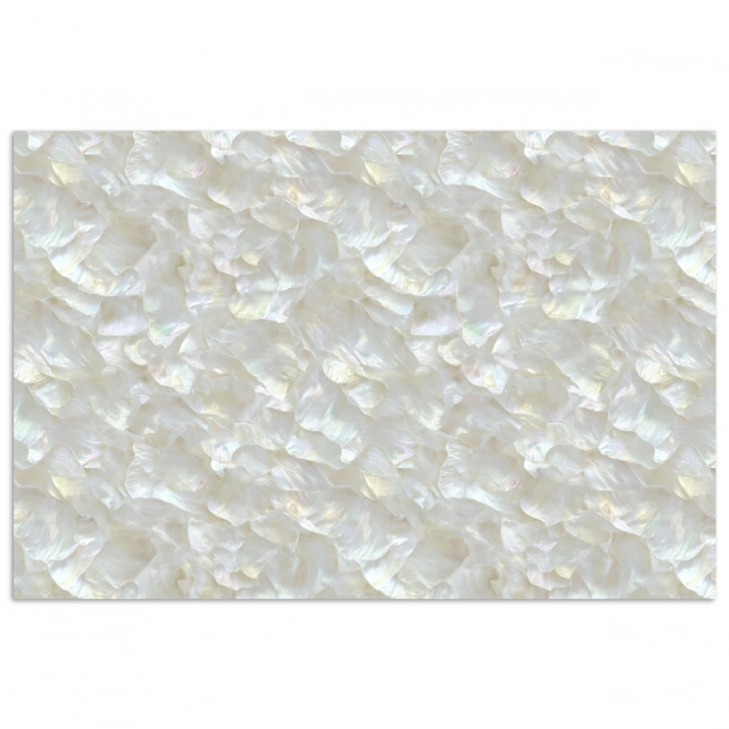 Parelmoerglans - Wit - Schelp poster papier klein 62 -3d