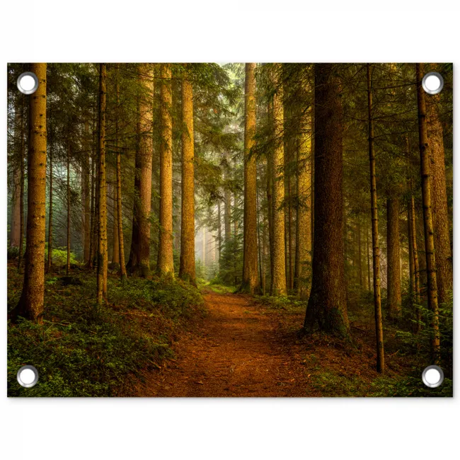 Pad door majestueus dennenbos tuinposter los doek klein -3d