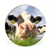 Koe - Boerderij - Gras - Dieren Wandcirkel aluminium klein -3d
