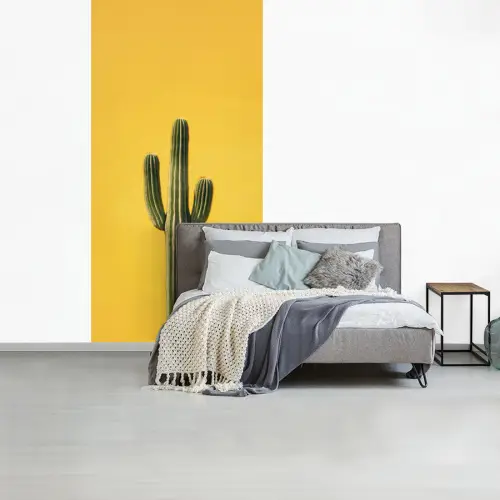 Cactus - Groen - Minimalistisch fotobehang vinyl groot -slaapkamer