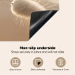 Hazestaartgras - Graanharen - Zonlicht Inductie beschermer vinyl 3mm middel -vsfeer4_ENG