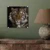 Tijger - Wilde dieren - Portret plexiglas 5mm klein -sfeer3