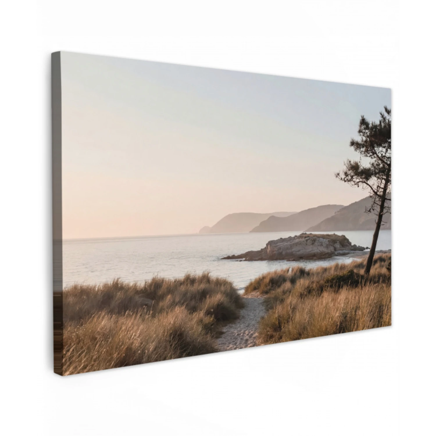 Landschap - Kust - Duinen Tuinposter op houten frame 2 cm dik klein -3d