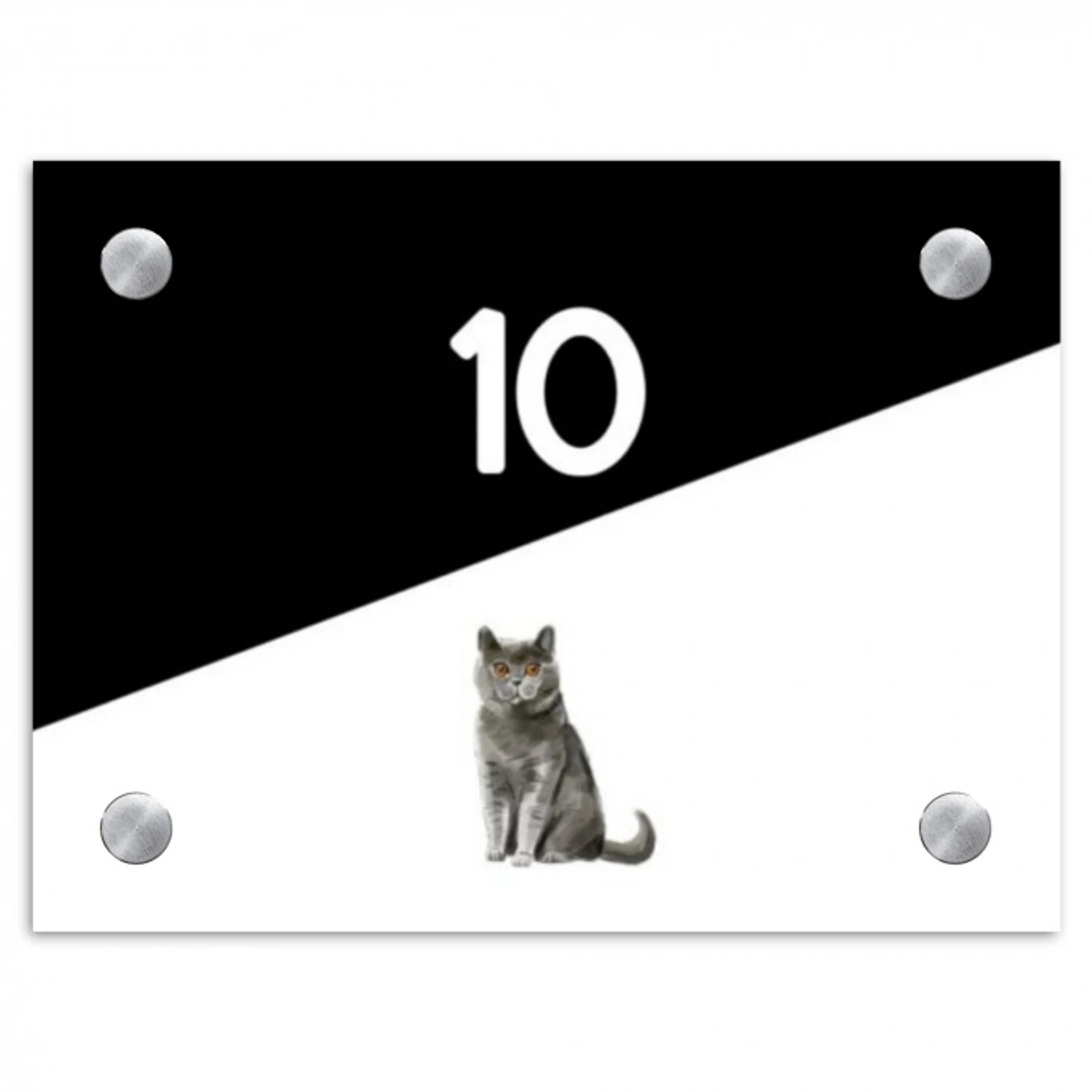 Zwart wit - Huisdier - Grijze kat Naambord Rechthoek middel -3d