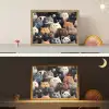 Kat - Dieren - Poes - Patroon - Jongen - Meisje Light Box met batterij (Wandlamp kind) middel -sfeer3_kind