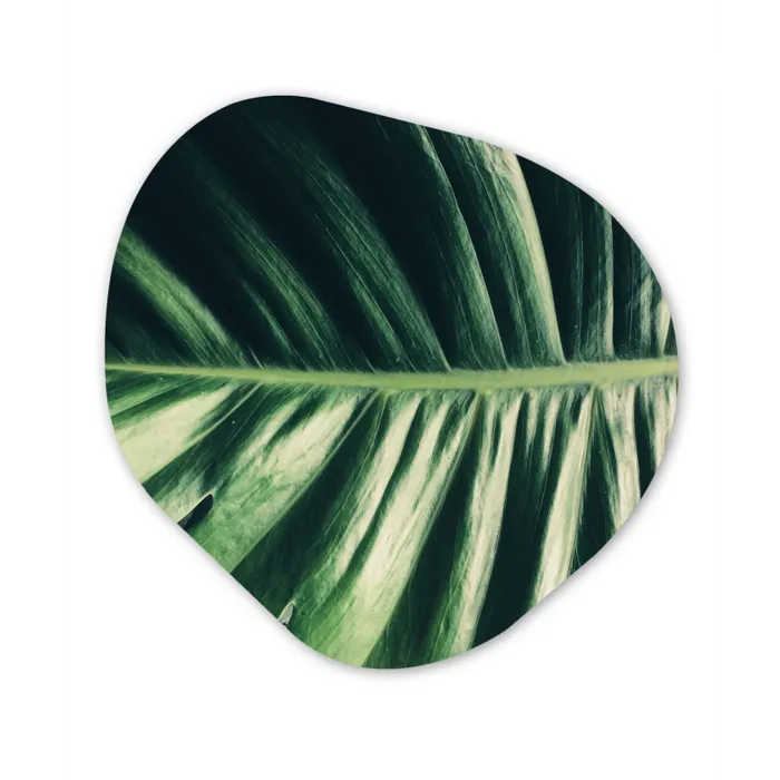 Tropisch - Inductie mat - Natuur - Inductie beschermer - Jungle Wandcirkel Organisch Aluminium middel -3d