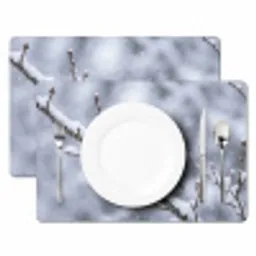Vogel - Tak - Sneeuw - Winter Placemat vinyl groot -zzsfeer2_Kitchenyeah-website