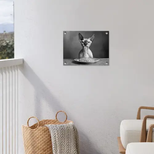 Sphynx - Kat - Dieren - Humor - Spaghetti - Zwart Wit tuinposter los doek klein -sfeer8