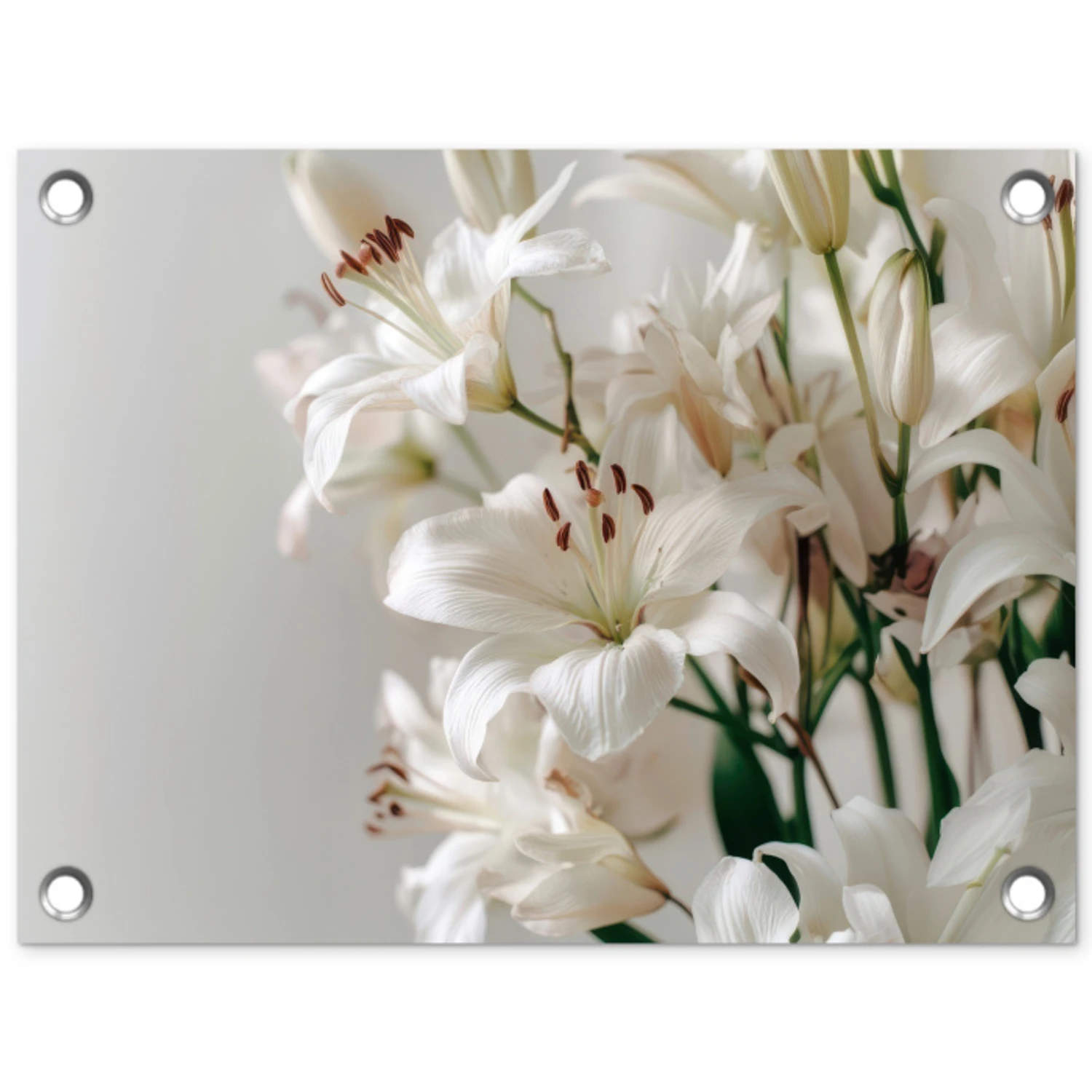 Lelies - Boekte - Wit - Meeldraden tuinposter los doek klein -3d