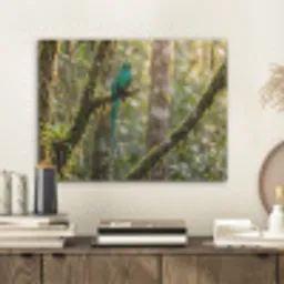 Quetzal - Jungle - Natuur - Groen PET vilt klein -sfeer1