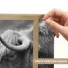 Schotse hooglander - Kalf - Zwart - Wit Light Box met batterij (Wandlamp) middel -USP_websiteprintNL