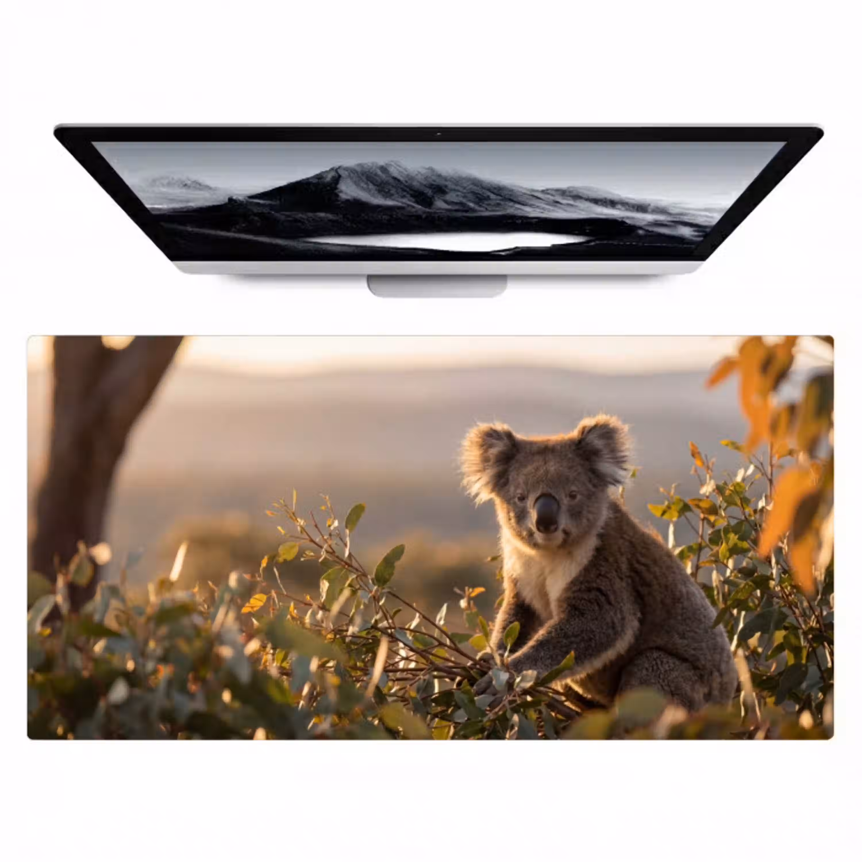 Koala - Bladeren - Ochtendlicht Muismat XXL klein -zzz3d
