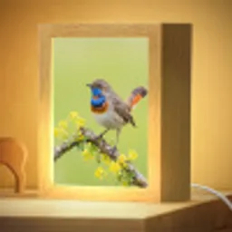 Vogel - Tak - Natuur - Kleurrijk Light Box met kabel (Kinderlampje) klein -zzzz_3d_website