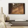 Bos - Mist - Zonlicht canvas 2cm klein -sfeer6