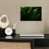 Bladeren - Schaduw - Groen - Textuur poster papier klein -sfeer1