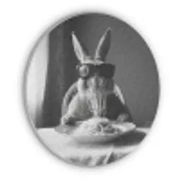 Konijn - Bunny - Zonnebril - Tafelkleed - Pasta - Schattig Akoestische PET Vilt - Rond klein -3d
