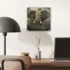 Afrikaanse olifant tegen de donkere wolken plexiglas 5mm klein -sfeer6