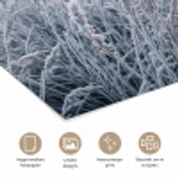 Rijp - Gras - Kristallen - Winter - Minimalistisch poster papier klein -closeup_NL