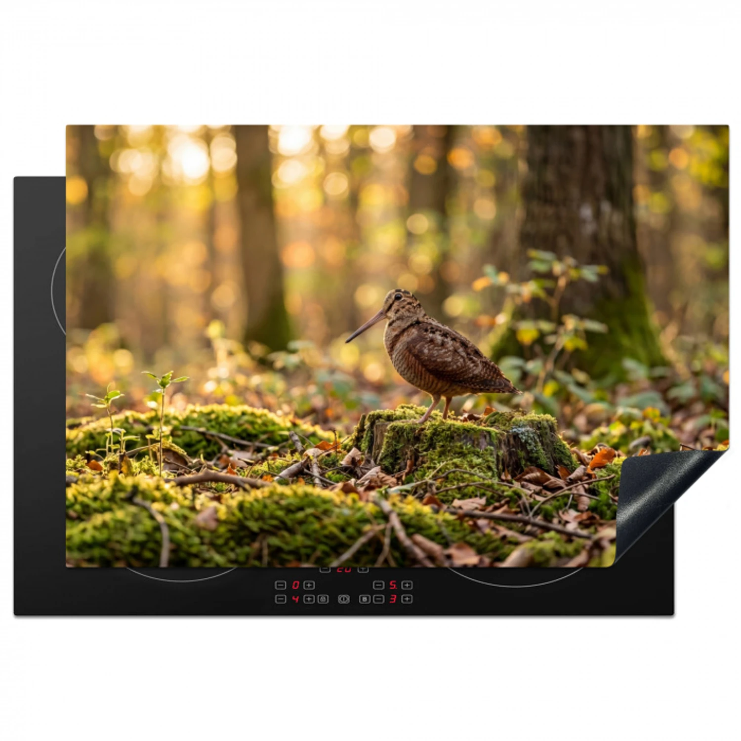 Houtsnip - Bos - Bladeren - Herfst - Gecamoufleerd Inductie beschermer vinyl 3mm klein -3d
