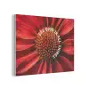Close up - Bloem - Quote - Rood PET vilt klein -3d