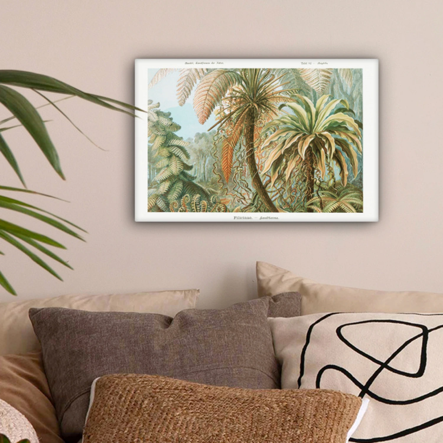 Vintage - Oude meesters - Varens - Planten - Natuur canvas 2cm klein -sfeer1