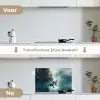 Bos - Water - Eenden - Mistig keuken achterwand spatscherm klein -voor_na_NL