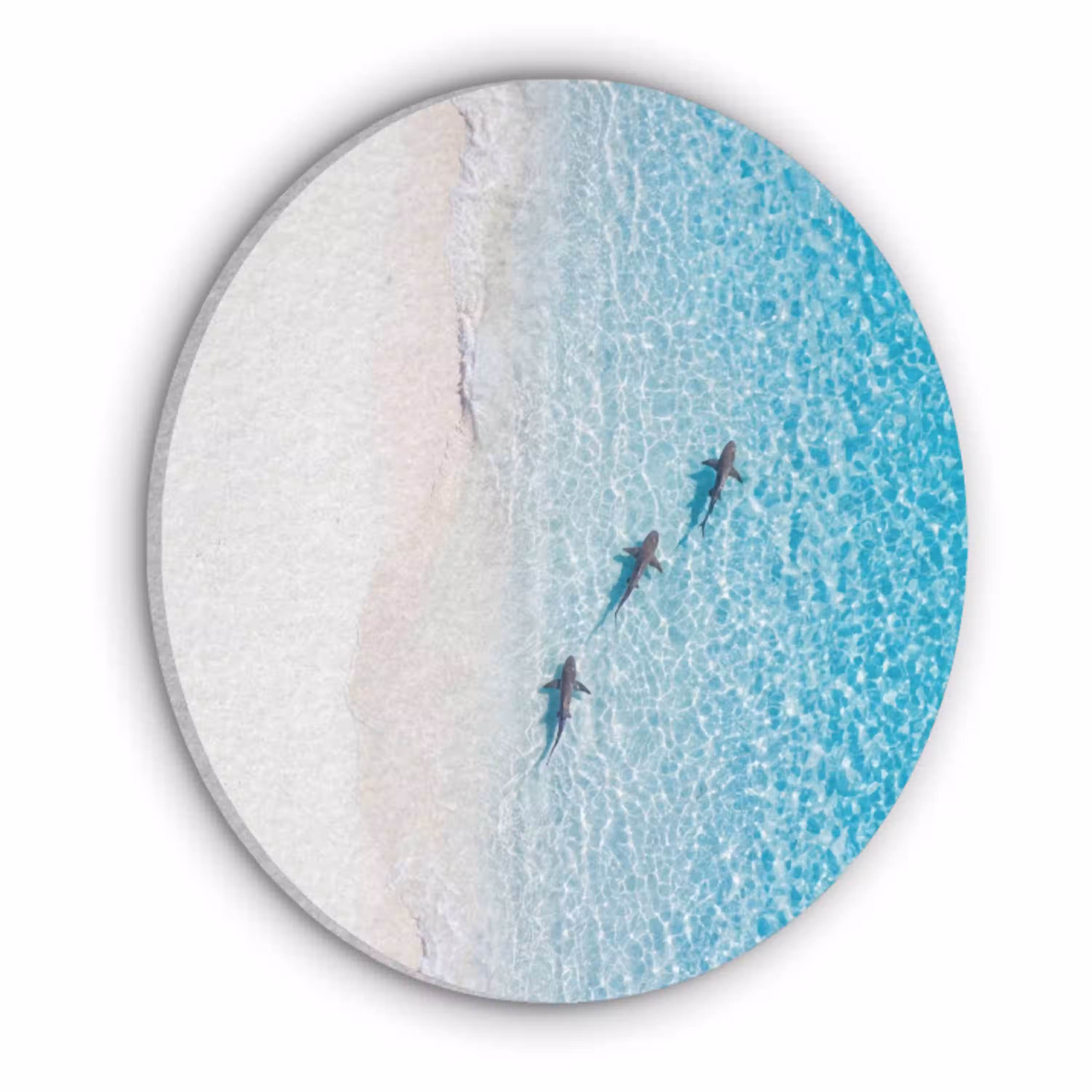 Vis - Oceaan - Strand - Turquoise - Natuur Akoestische PET Vilt - Rond klein -3d