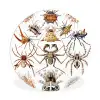 Retro - Ernst Haeckel - Insecten - Tuinposter - Tuin Wandcirkel kunststof plaat 5mm dik klein -3d