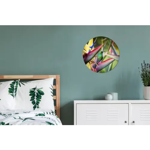 Kleurrijke vogel tussen allemaal kleurrijke platen Wandcirkel aluminium klein -slaapkamer