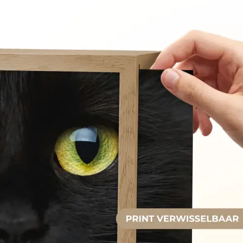 Kat - Zwart - Dieren - Natuur Light Box met kabel (Wandlamp) klein -USP_websiteprintNL