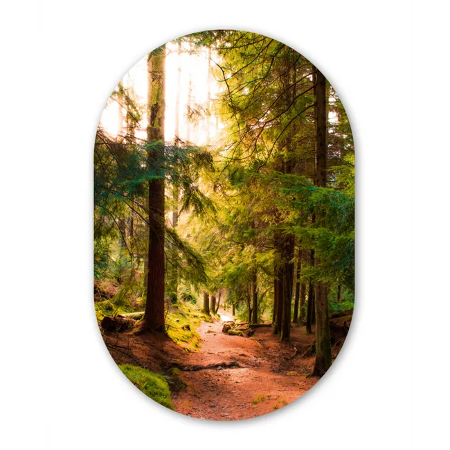 Bos - Pad - Bomen - Groen - Zon - Natuur Wandcirkel Ovaal Forex klein -3d