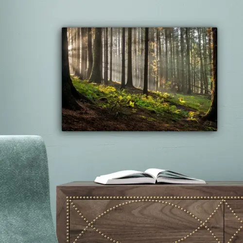 Zon - Takken - Bomen - Bos - Natuur canvas 2cm klein -sfeer4
