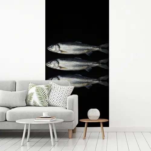 Haring - Vissen - Zwart fotobehang vinyl groot -woonkamer
