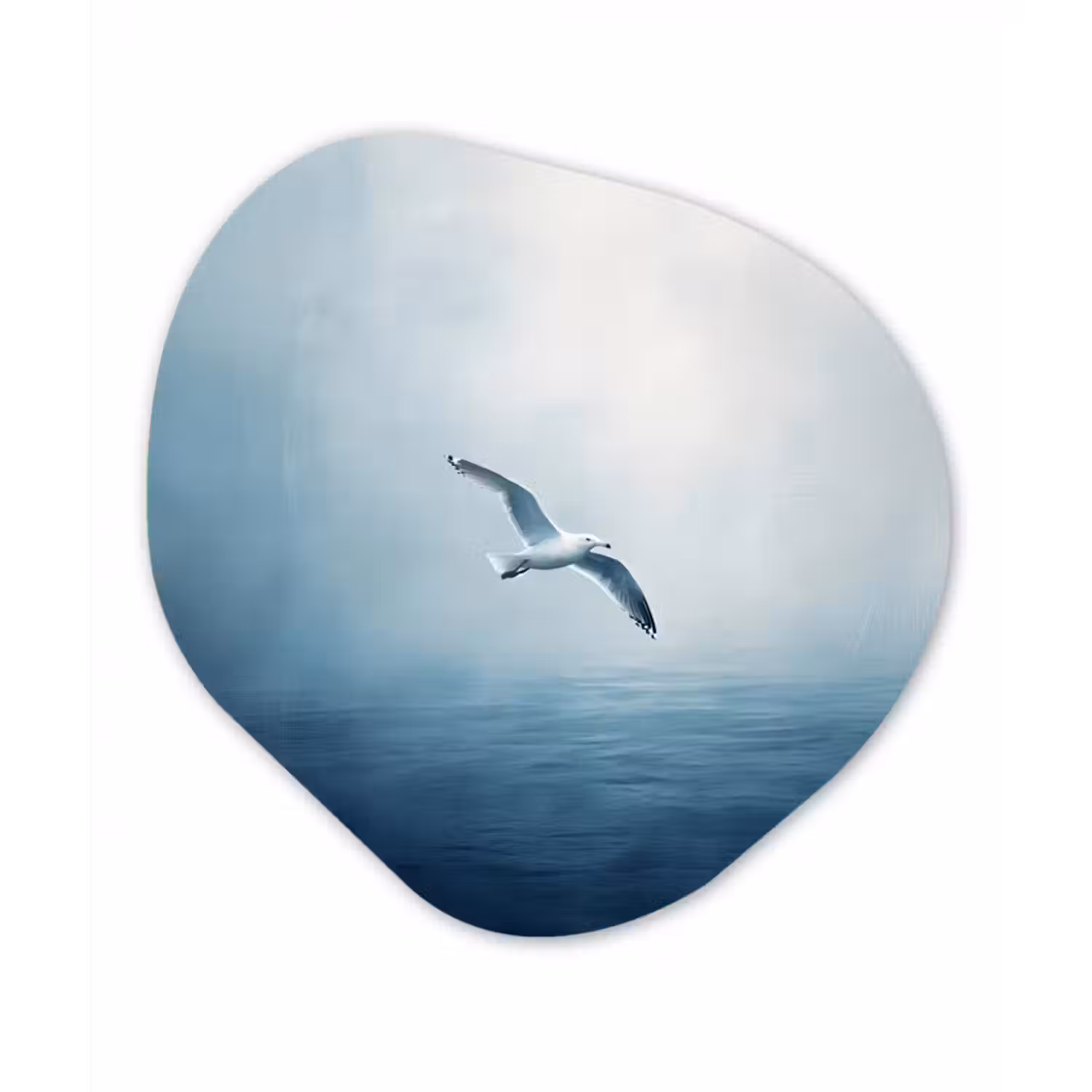 Alu-Dibond-Bild Organische Form - Möwe - Weiß - Meer - Neblig