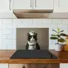 Kat - Kokskleding - Zwart - Wit keuken achterwand spatscherm klein -sfeer2