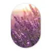 Lavendel - Paars - Zonlicht Wandcirkel Ovaal Forex klein -3d