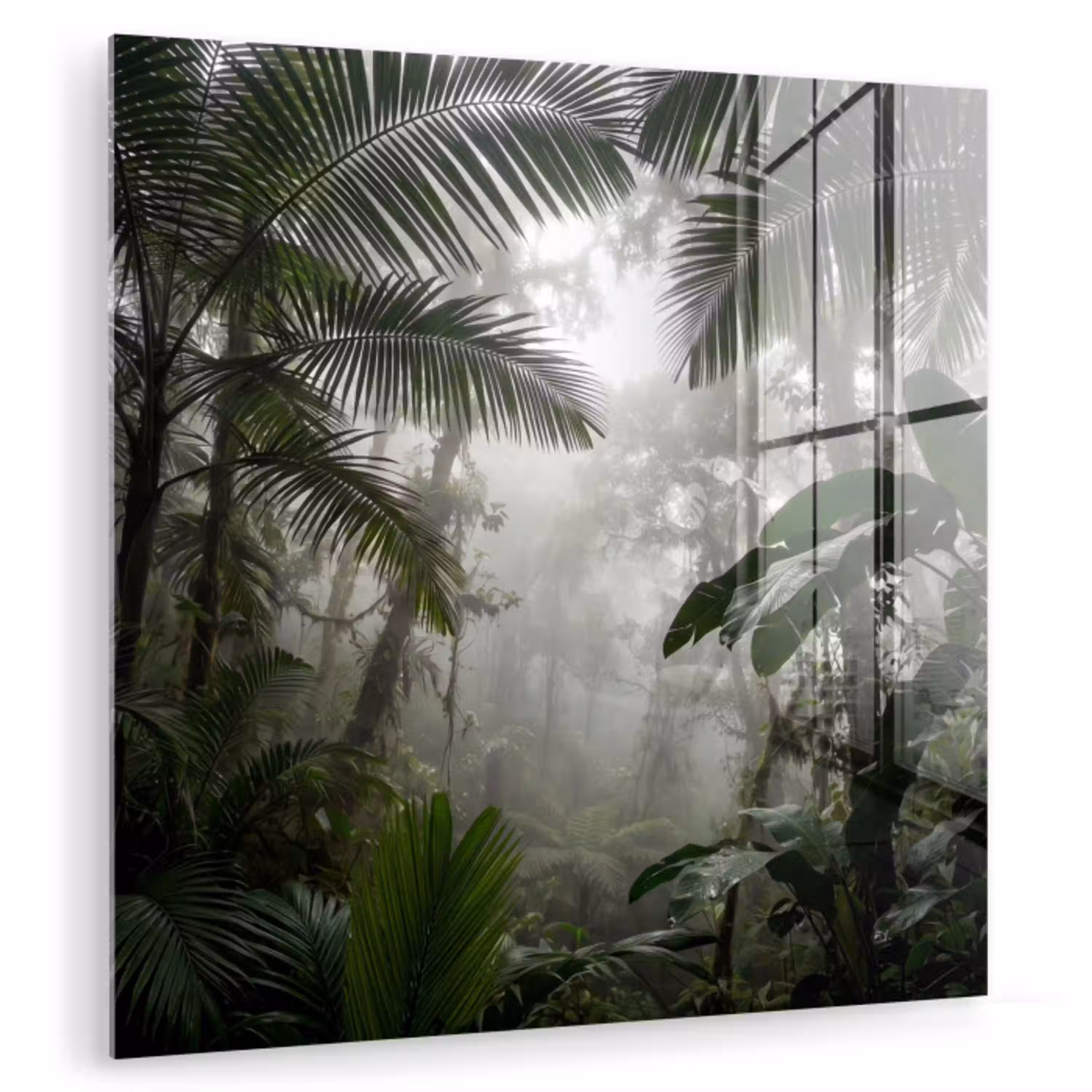 Natuur - Jungle - Mist - Groen - Bladeren plexiglas 5mm klein -zzzproduct_nieuw