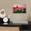 Tulpen - Molen - Nederland poster papier klein -sfeer1