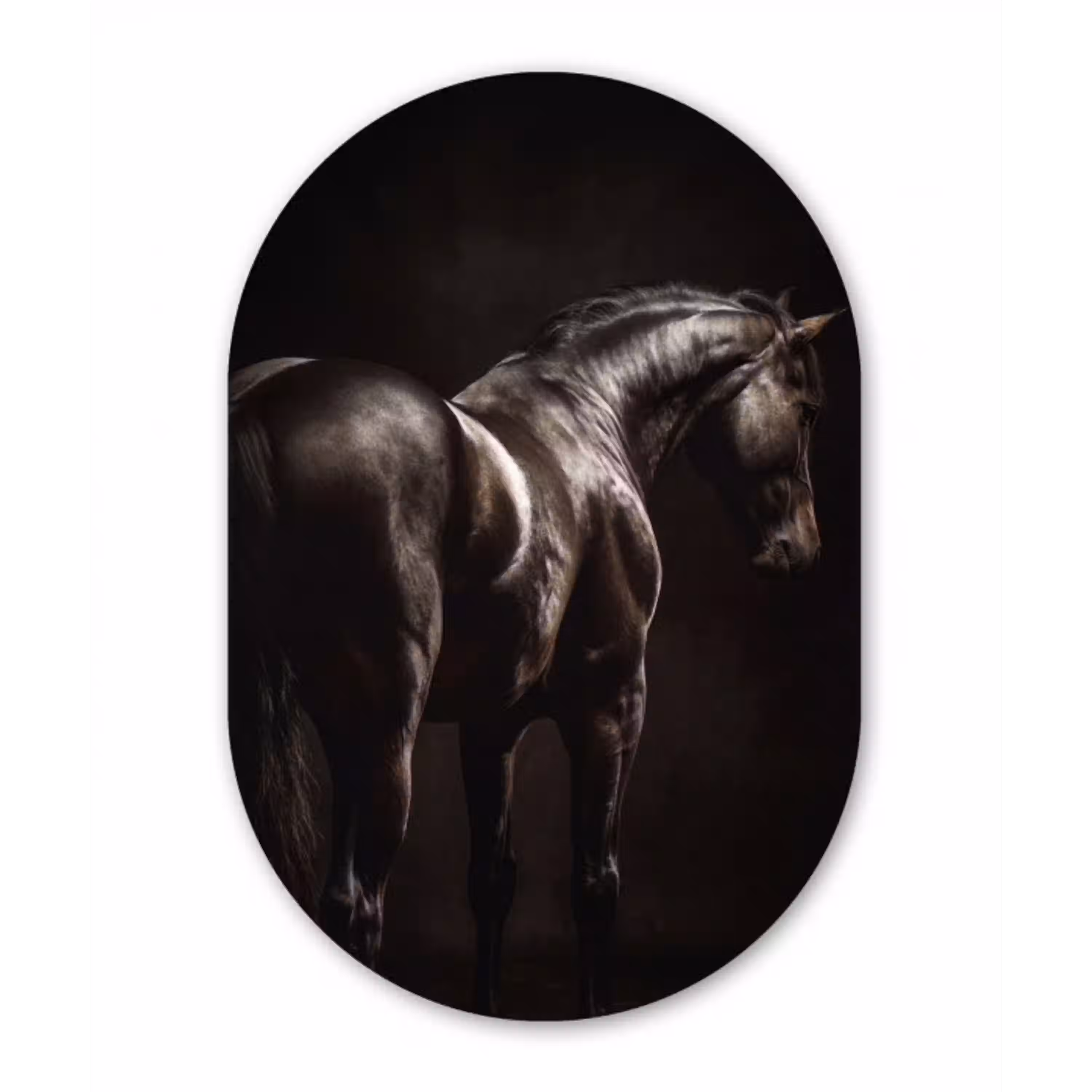 Krachtig - Paard - Donker Wandcirkel Ovaal Aluminium middel -3d