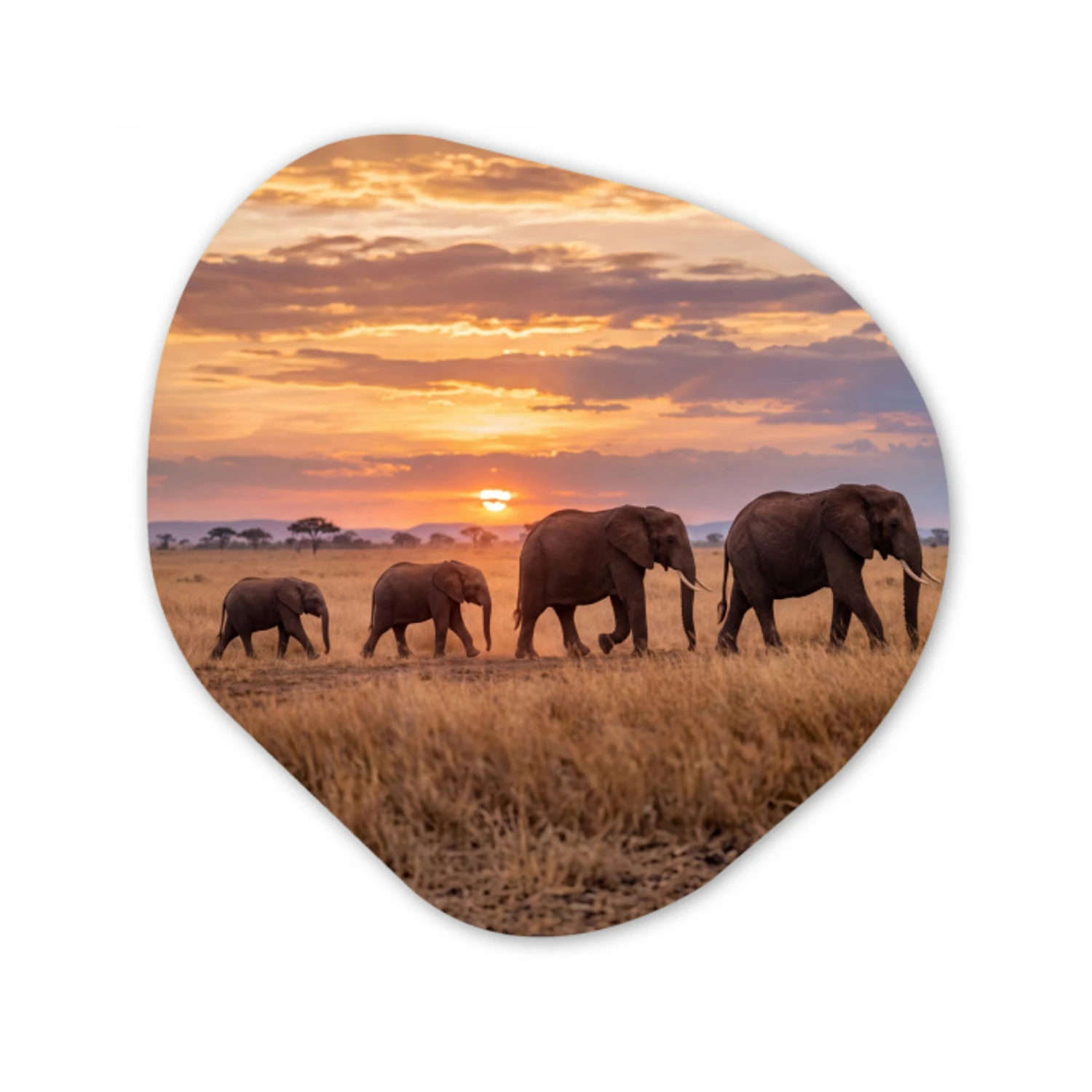 Olifanten - Savanne - Zonsondergang - Afrika - Warm Wandcirkel Organisch Aluminium middel -3d