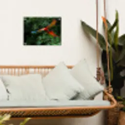 Kleurrijke papegaai is aan het vliegen tuinposter los doek klein -sfeer7