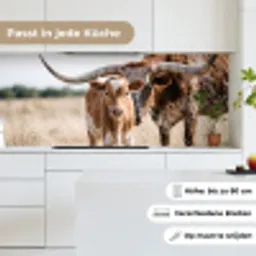 Texas Longhorn - Kalf - Weide - Dieren keuken achterwand 2 middel -sfeer4_DE