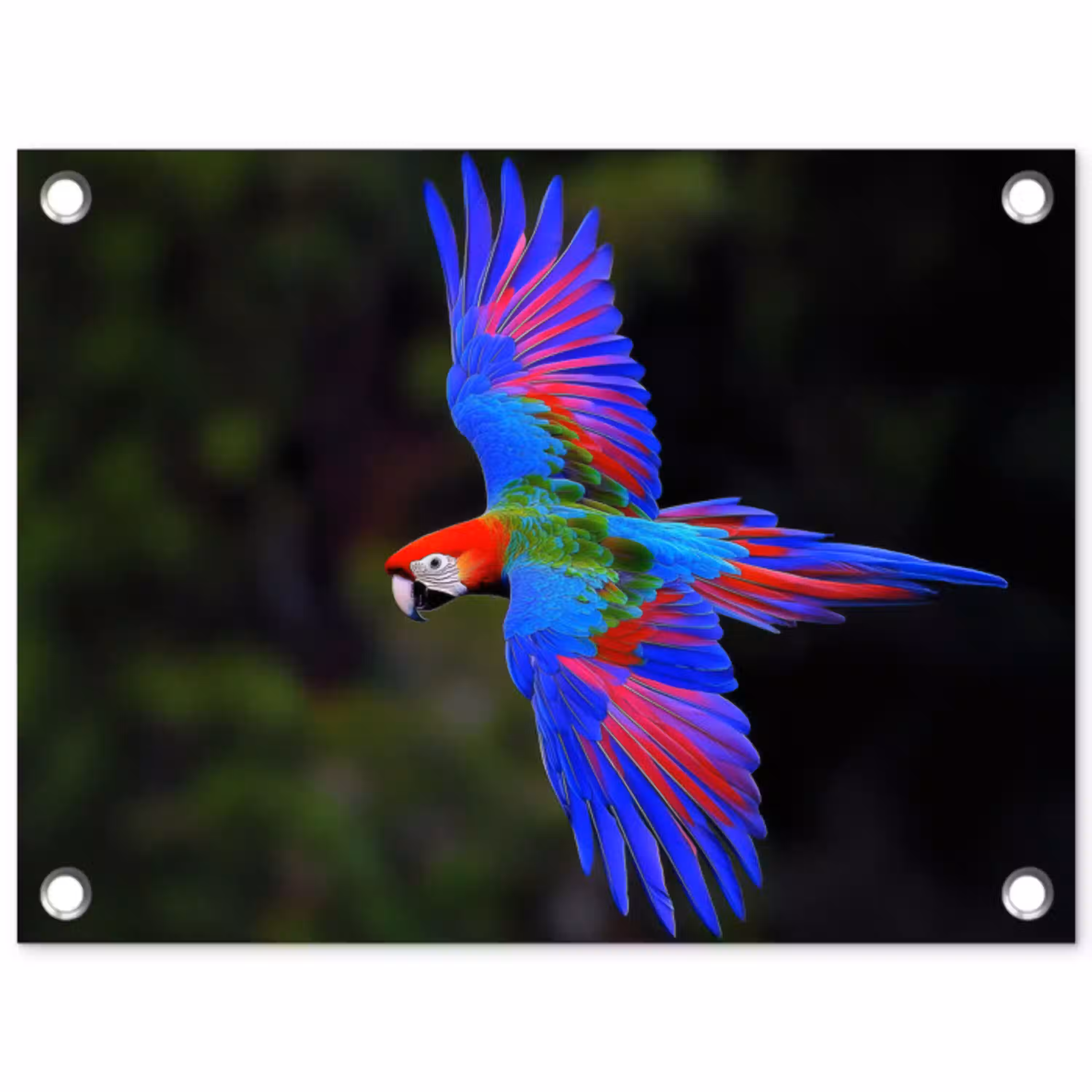 Felgekleurd - Papegaai - Bos - Vleugels tuinposter los doek klein -3d